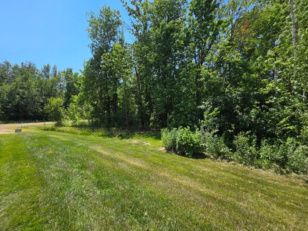 Picture 17