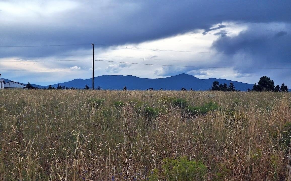 Land in Oregon Shores