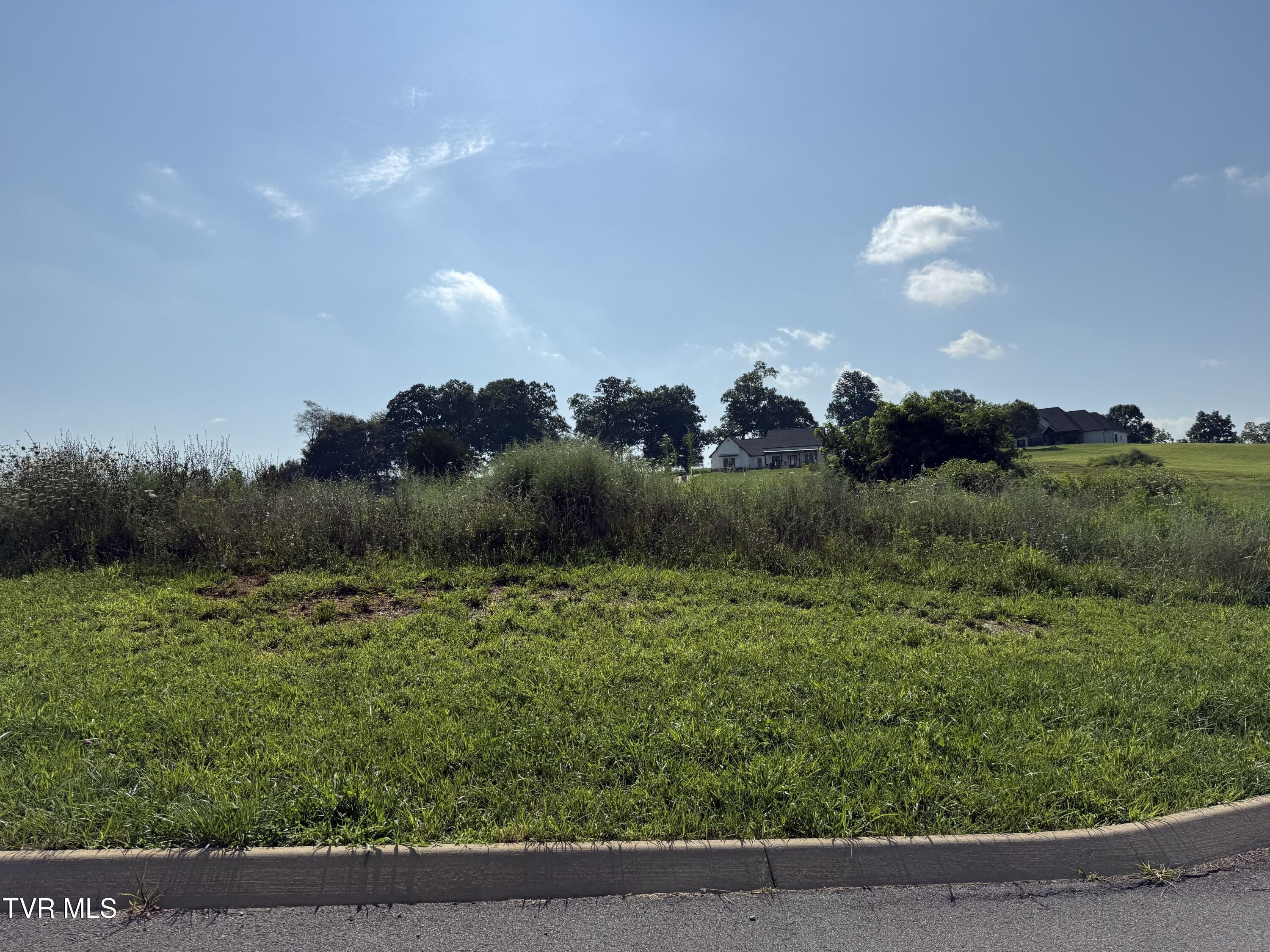 Residential Land in Jonesborough, TN