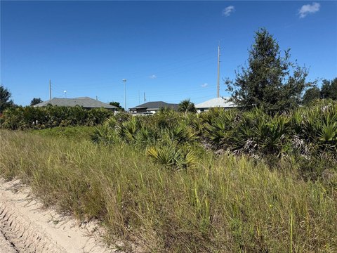Land, AVON PARK, FL