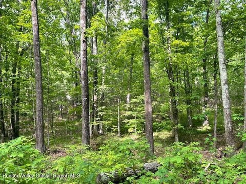 LAND - Cairo, NY