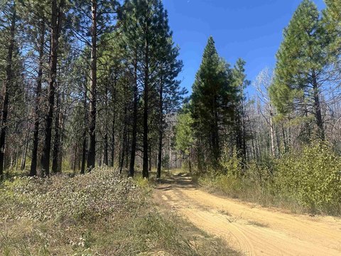 Greenville Acreage Near Round Valley