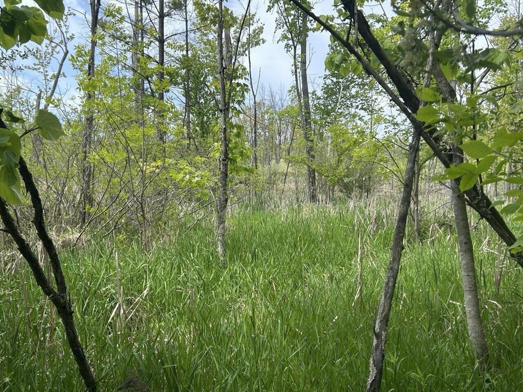 Picture 3