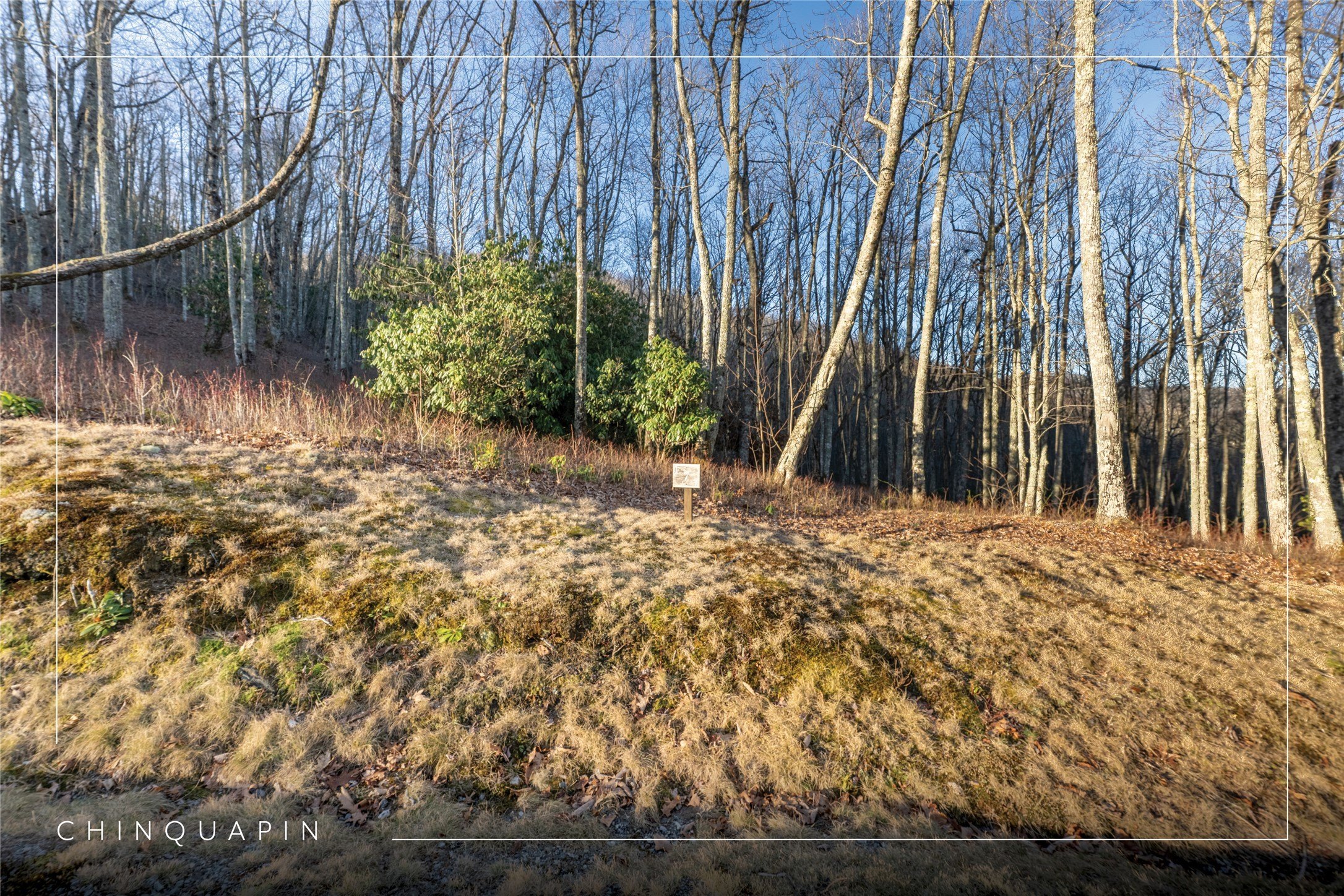 Wooded Lot in Gated Community