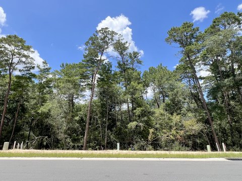 Residential Land in Deer Moss Creek