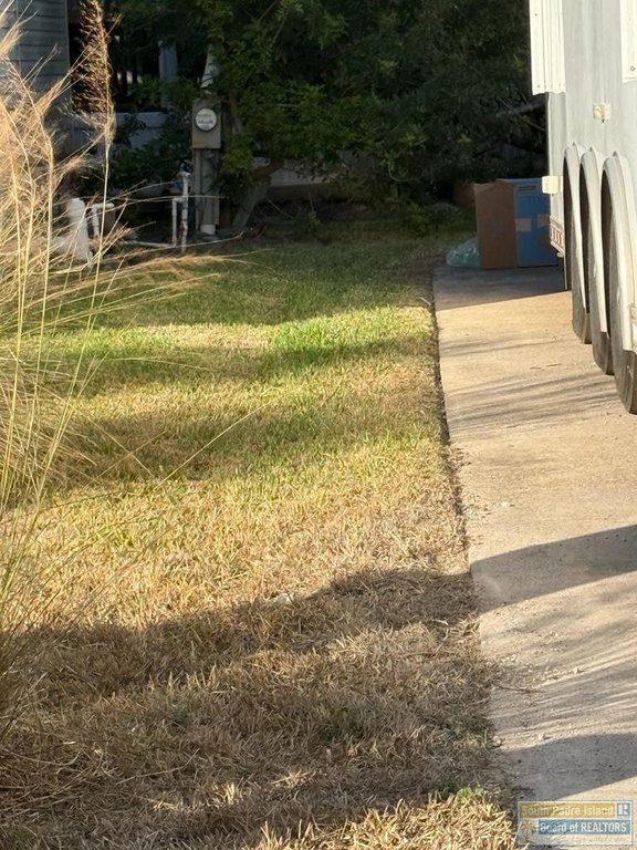 Picture 5