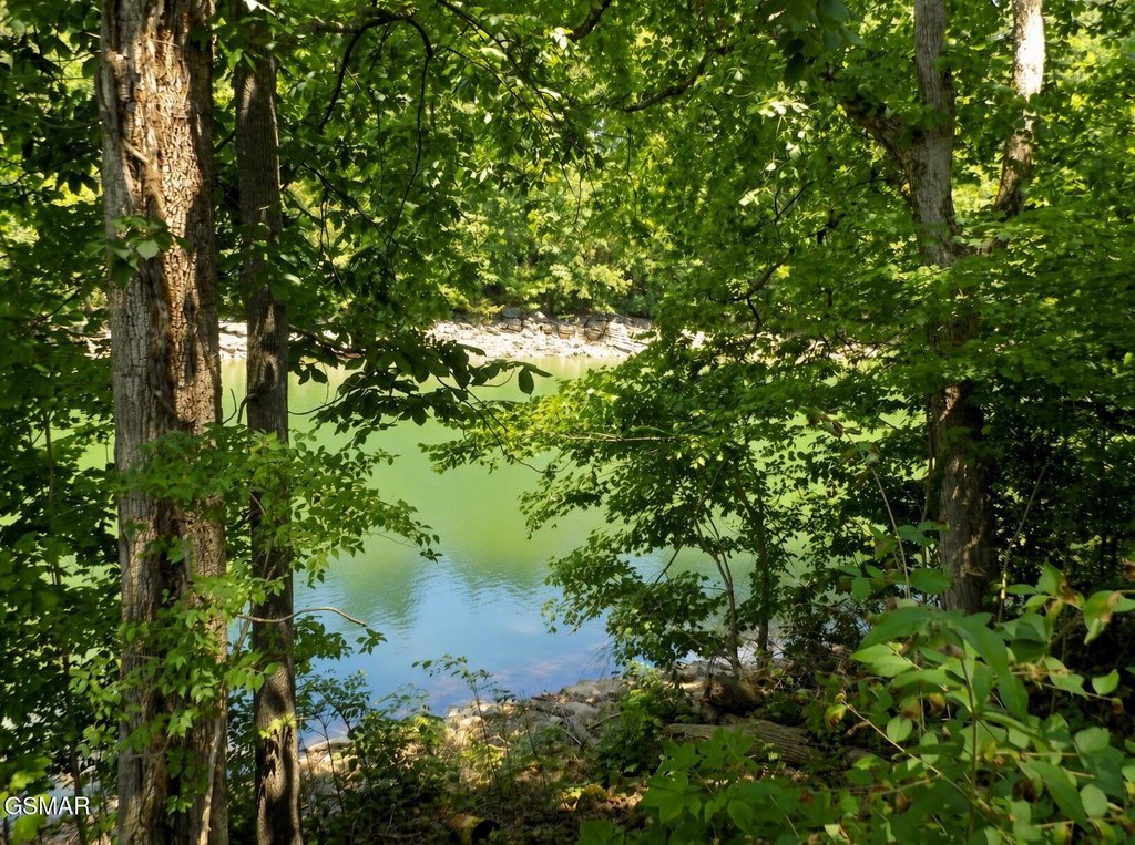 Picture 22