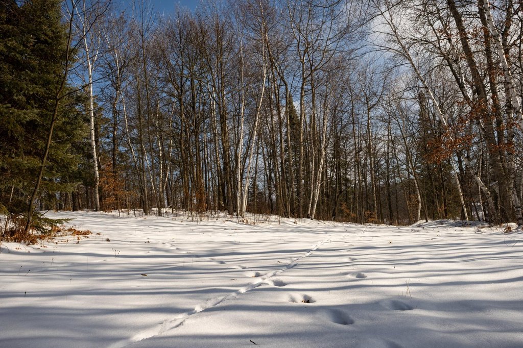 Picture 25