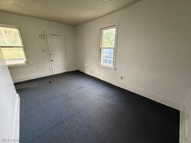 Picture 20