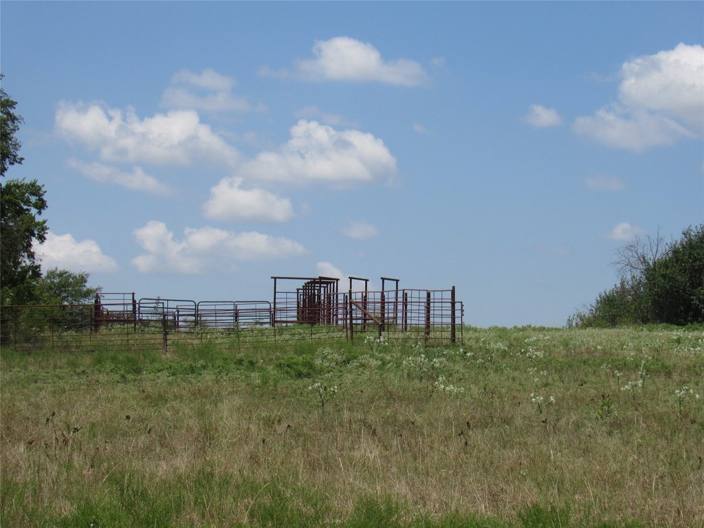 Picture 14