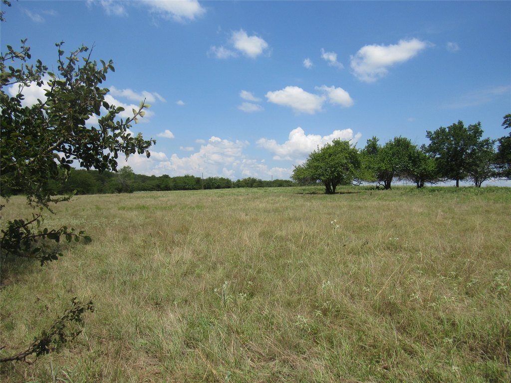 Picture 22