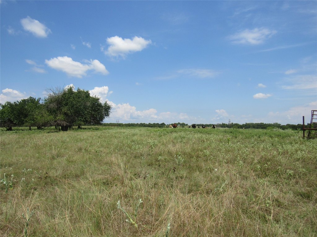 Picture 23