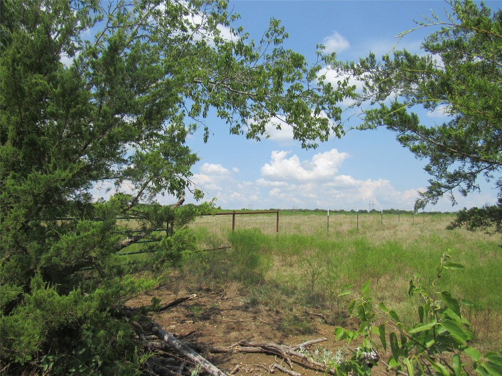 Picture 19