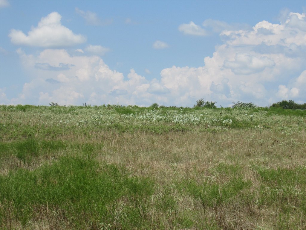 Picture 20