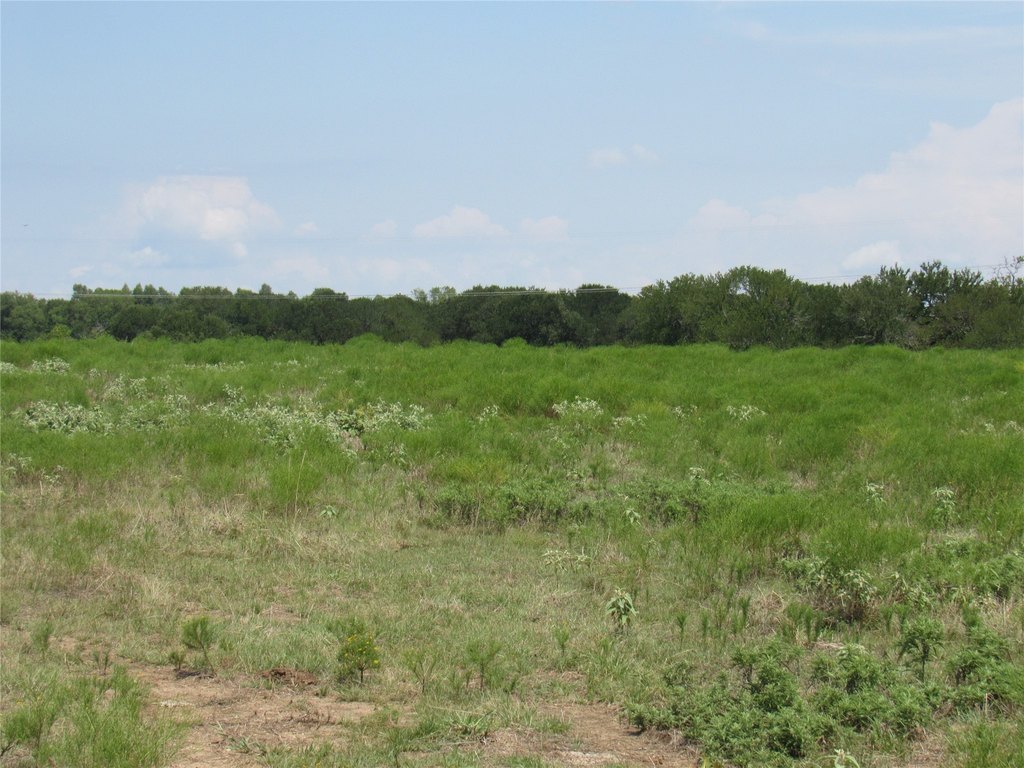 Picture 21