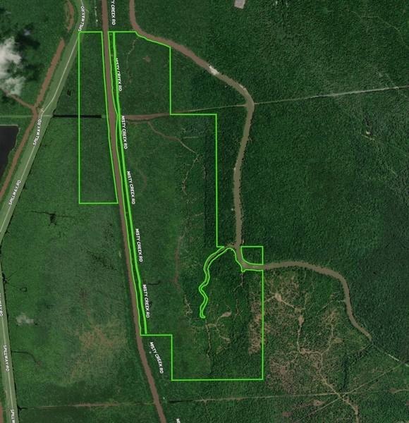 Atchafalaya Basin Hunting and Development Land