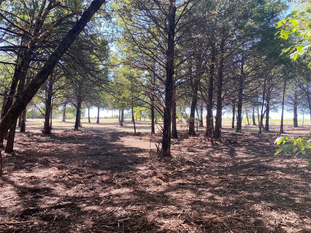 Picture 12