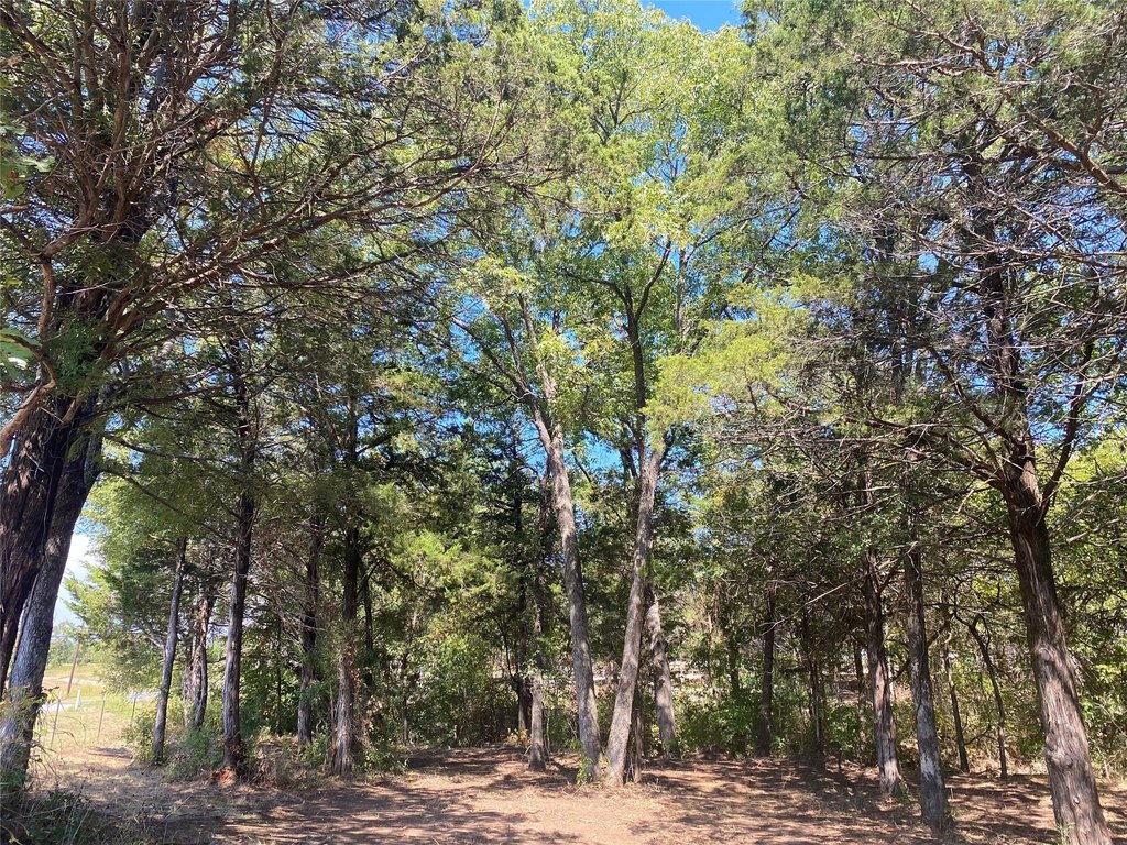 Picture 16