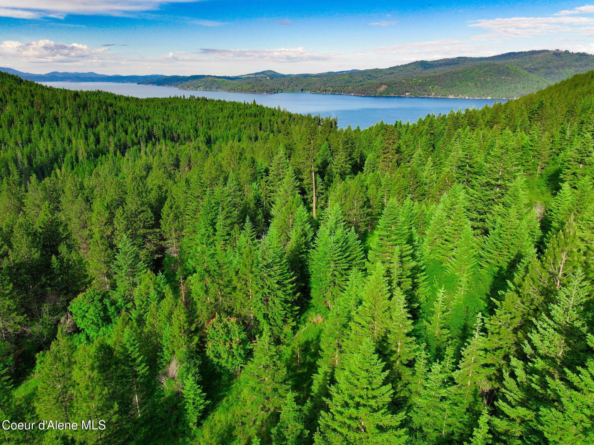 Harrison ID Land with Lake Views
