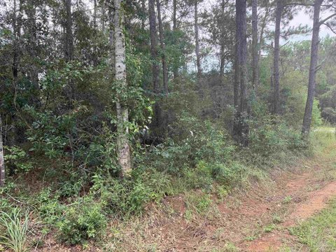 LAND - Milton, FL