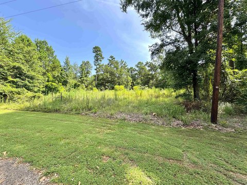 LAND - Gilmer, TX