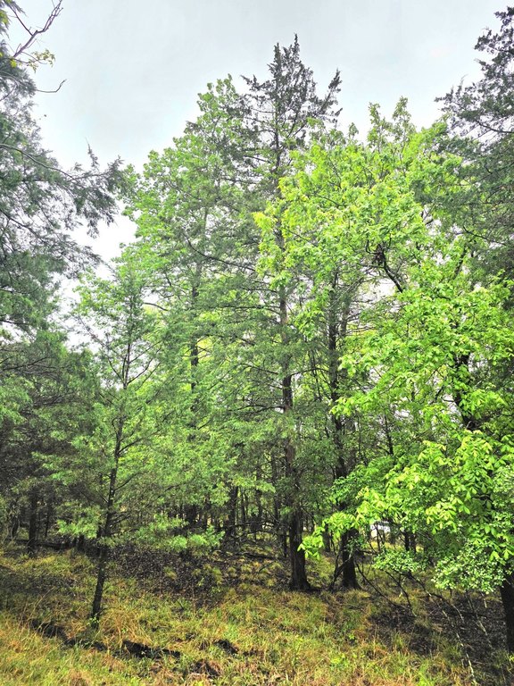 Picture 32