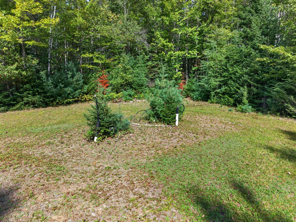 Picture 17