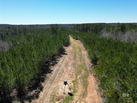 Timbered Residential Land Tract