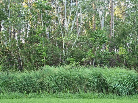 Land, Elizabeth City, NC
