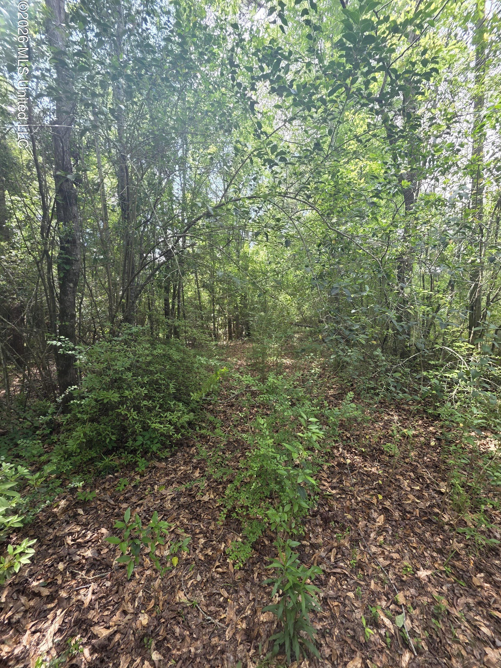 Magnolia, MS Land Opportunity