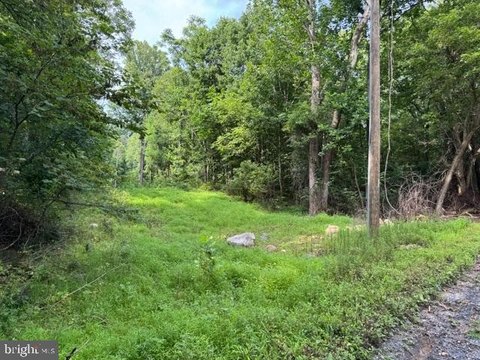 Land, BENTONVILLE, VA