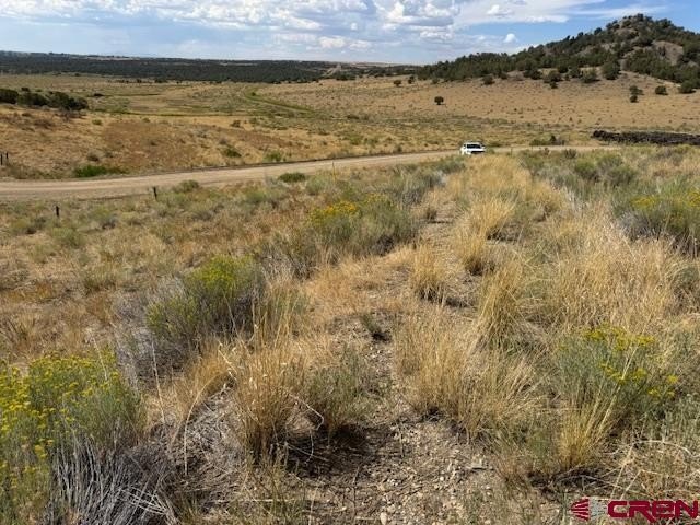 Land in Dolores, Colorado