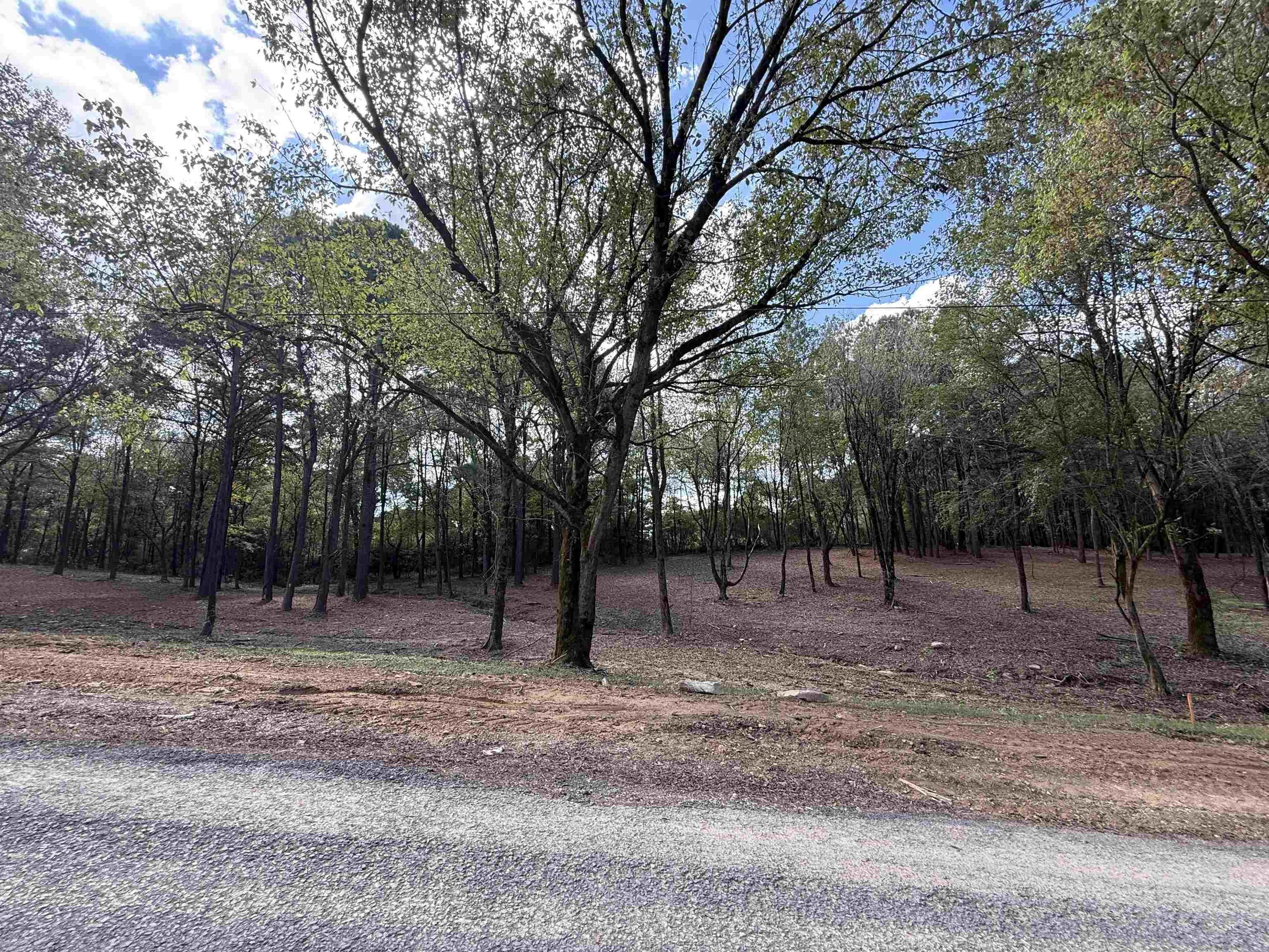 Residential Land in Vinemont, Alabama