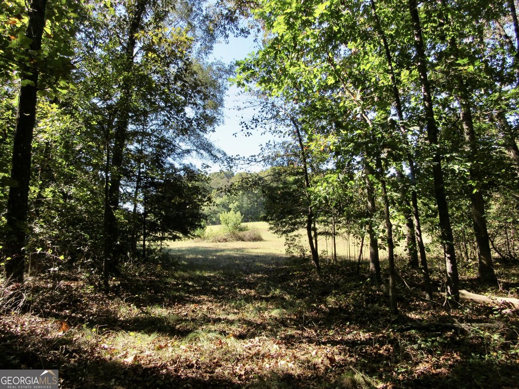 Picture 31