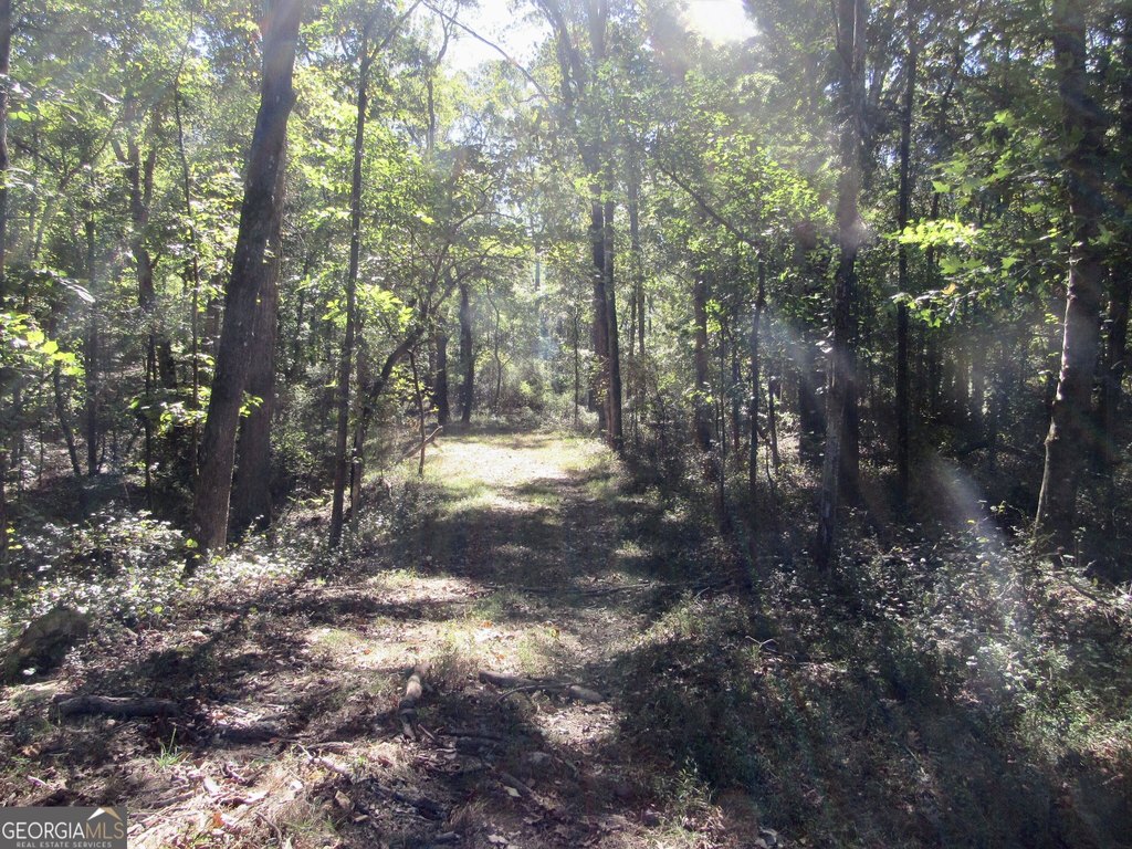 Picture 30