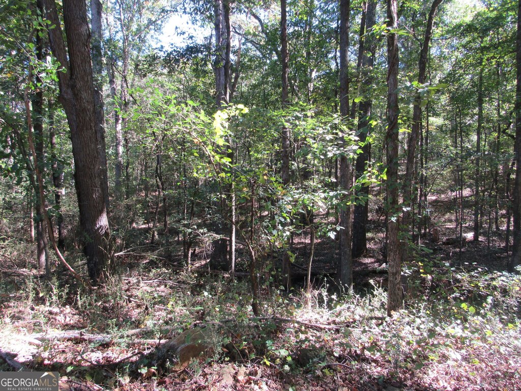 Picture 32