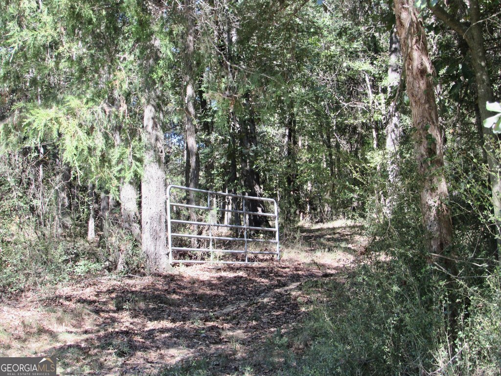 Picture 6