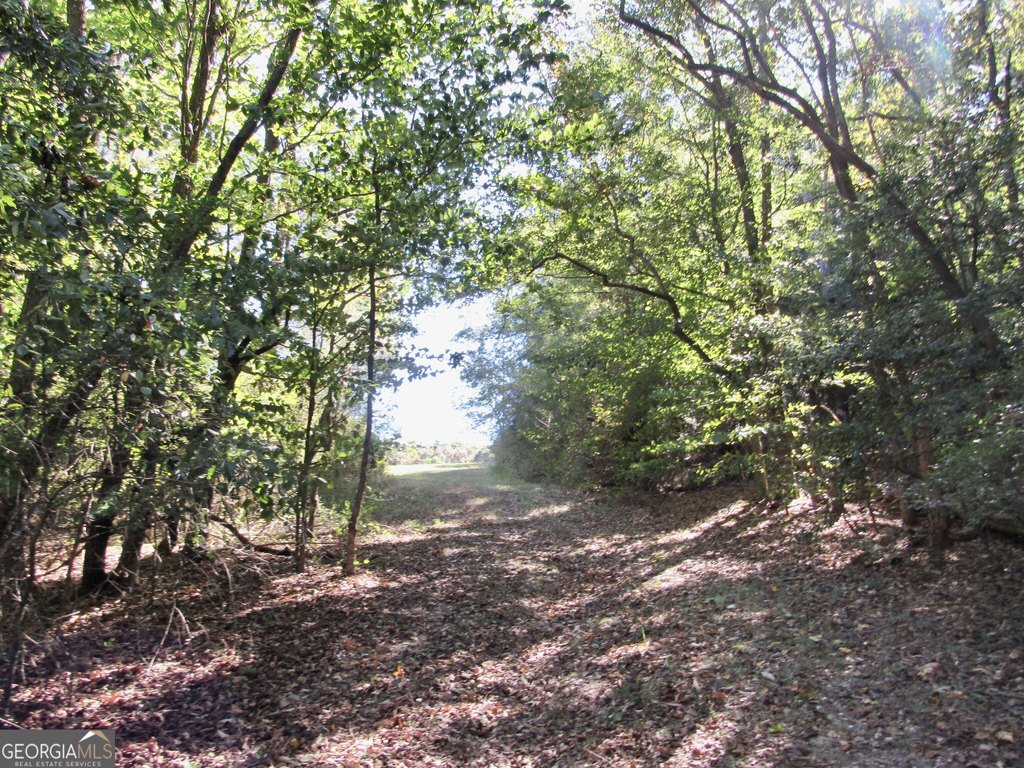 Picture 18