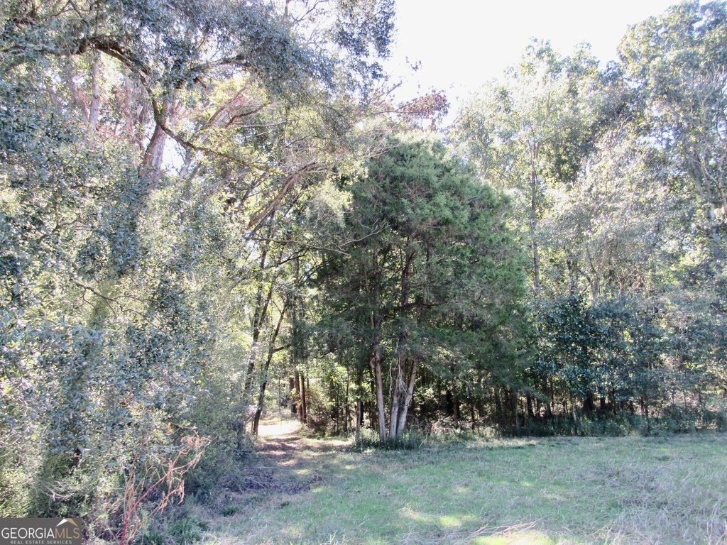 Picture 27