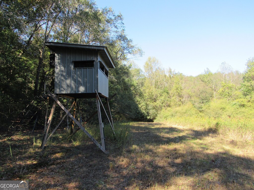 Picture 19