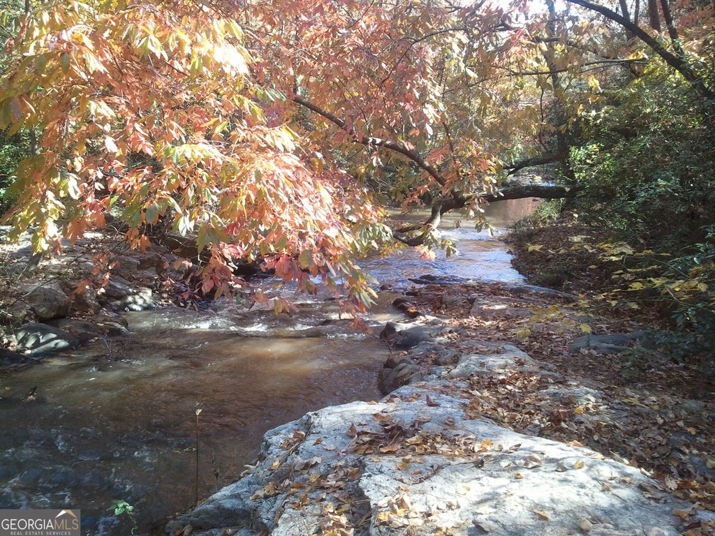 Picture 35
