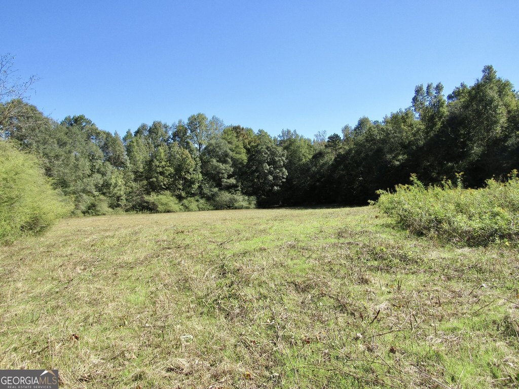 Picture 22