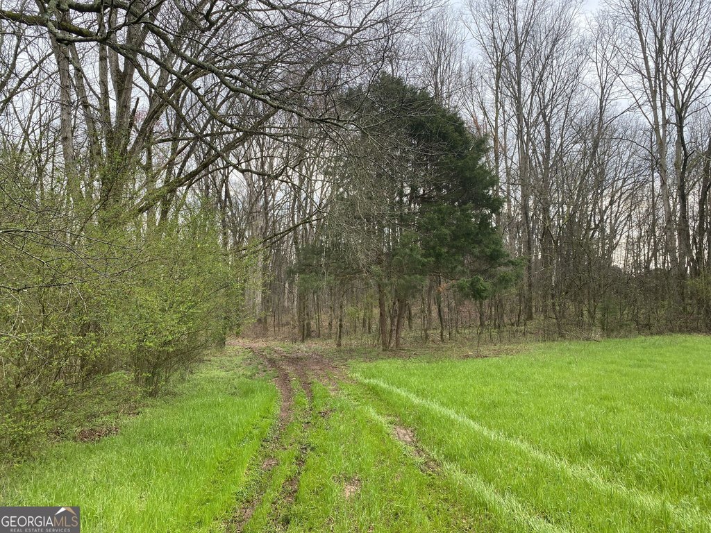 Picture 28