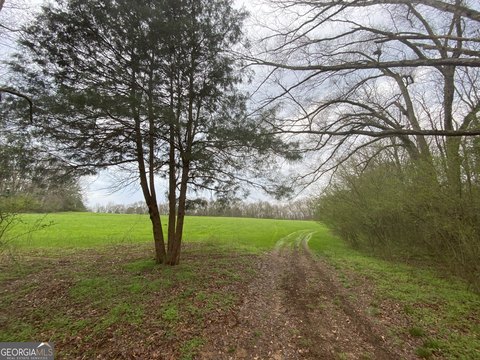Land, Dewy Rose, GA