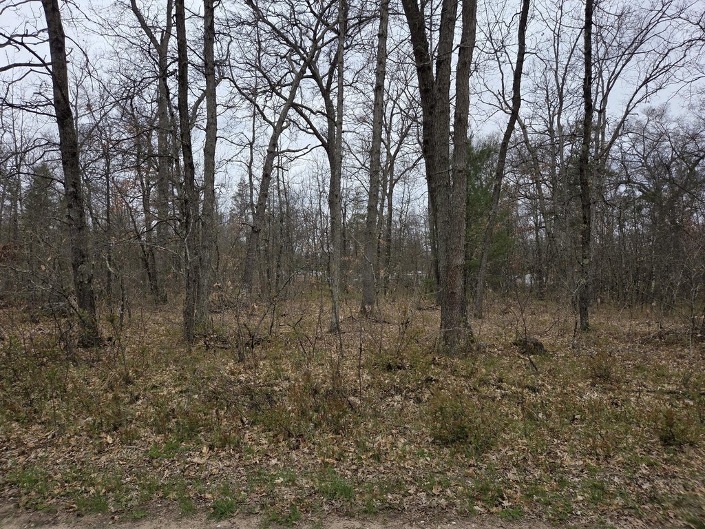 Picture 3