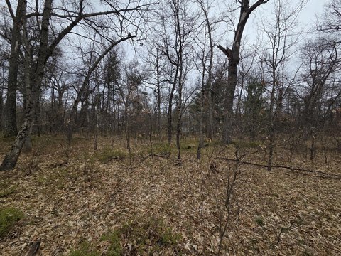Wooded Lot Near Recreation