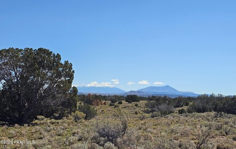 Land, Williams, AZ