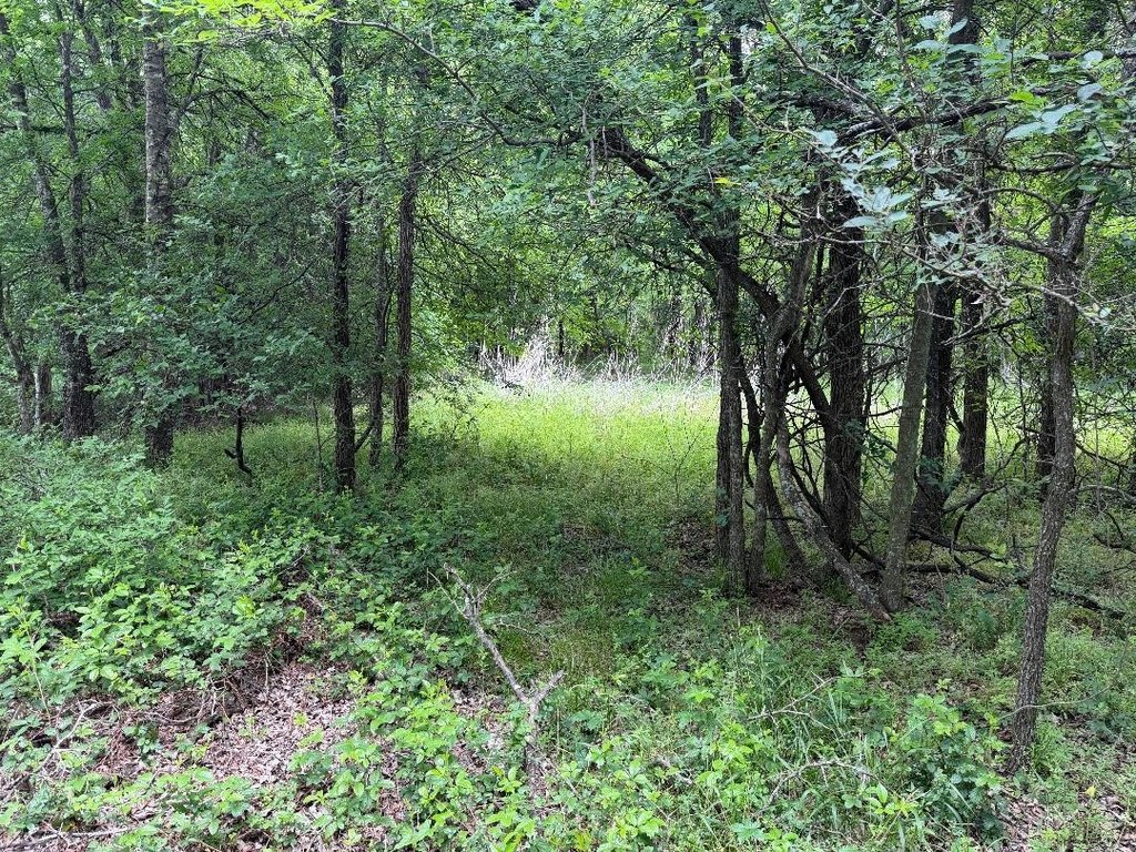 Picture 10