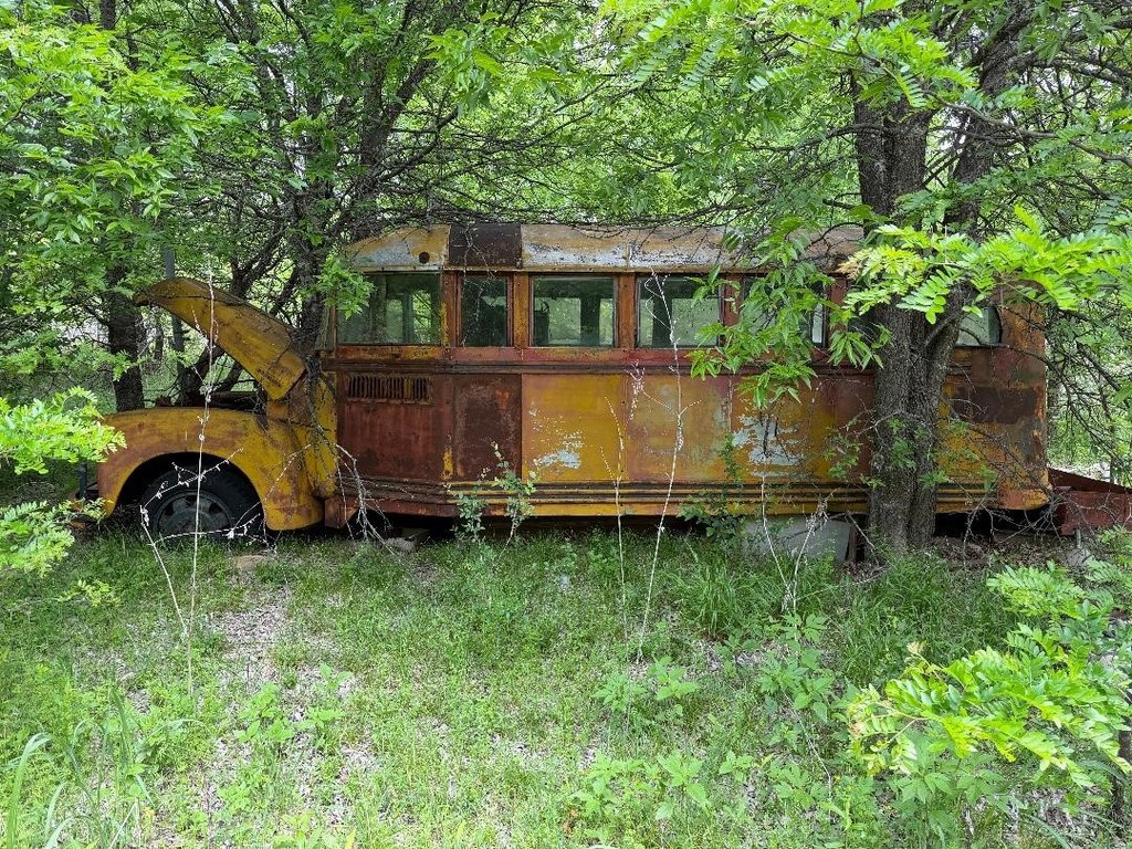 Picture 4