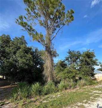 LAND - Sebring, FL